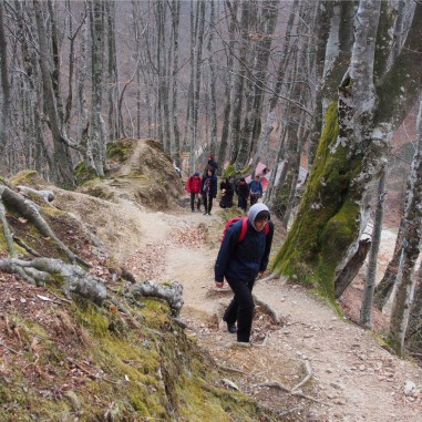 La pas, spre Pătrunsa